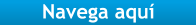 Navega aquí
